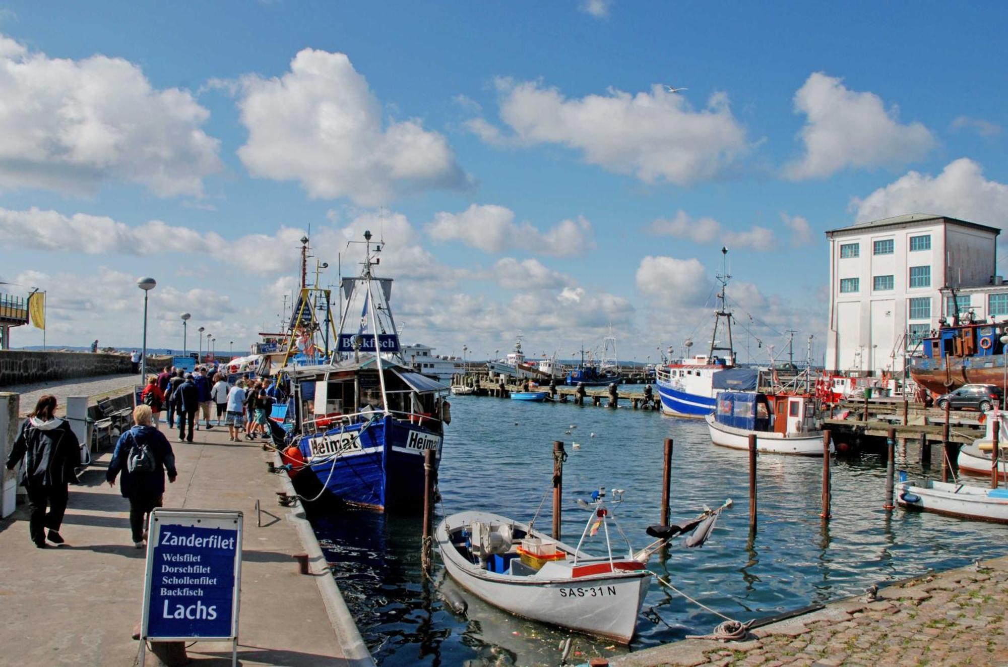 schöne Ferienwohnungen in Sassnitz mit Kamin und Terrasse Exterior foto