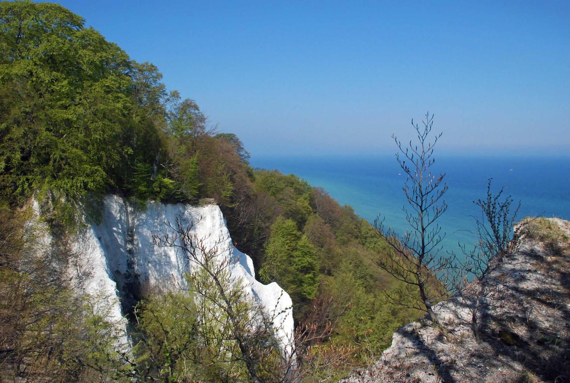schöne Ferienwohnungen in Sassnitz mit Kamin und Terrasse Exterior foto